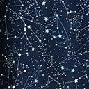 Load image into Gallery viewer, 1950s Navy Star Constellation Print Swing Skirt